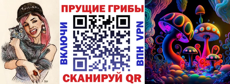 kraken зеркало  Гусев  Галлюциногенные грибы Cubensis 